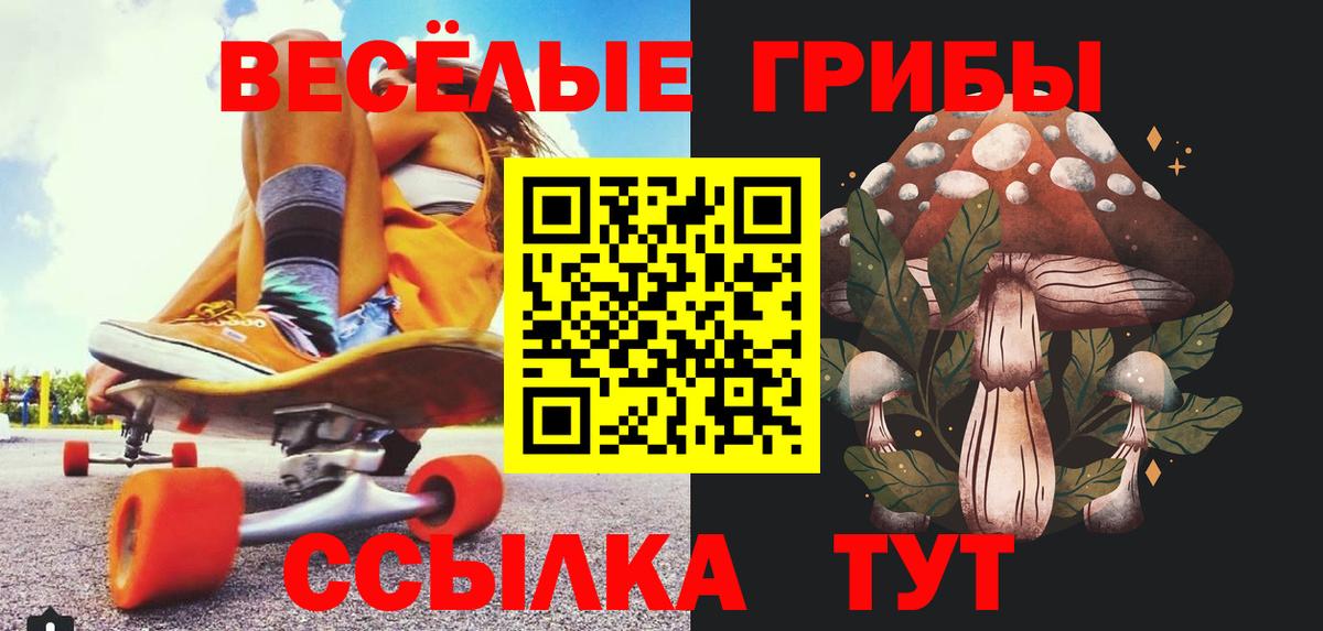 Клин  Галлюциногенные грибы мухоморы  Вход с VPN 